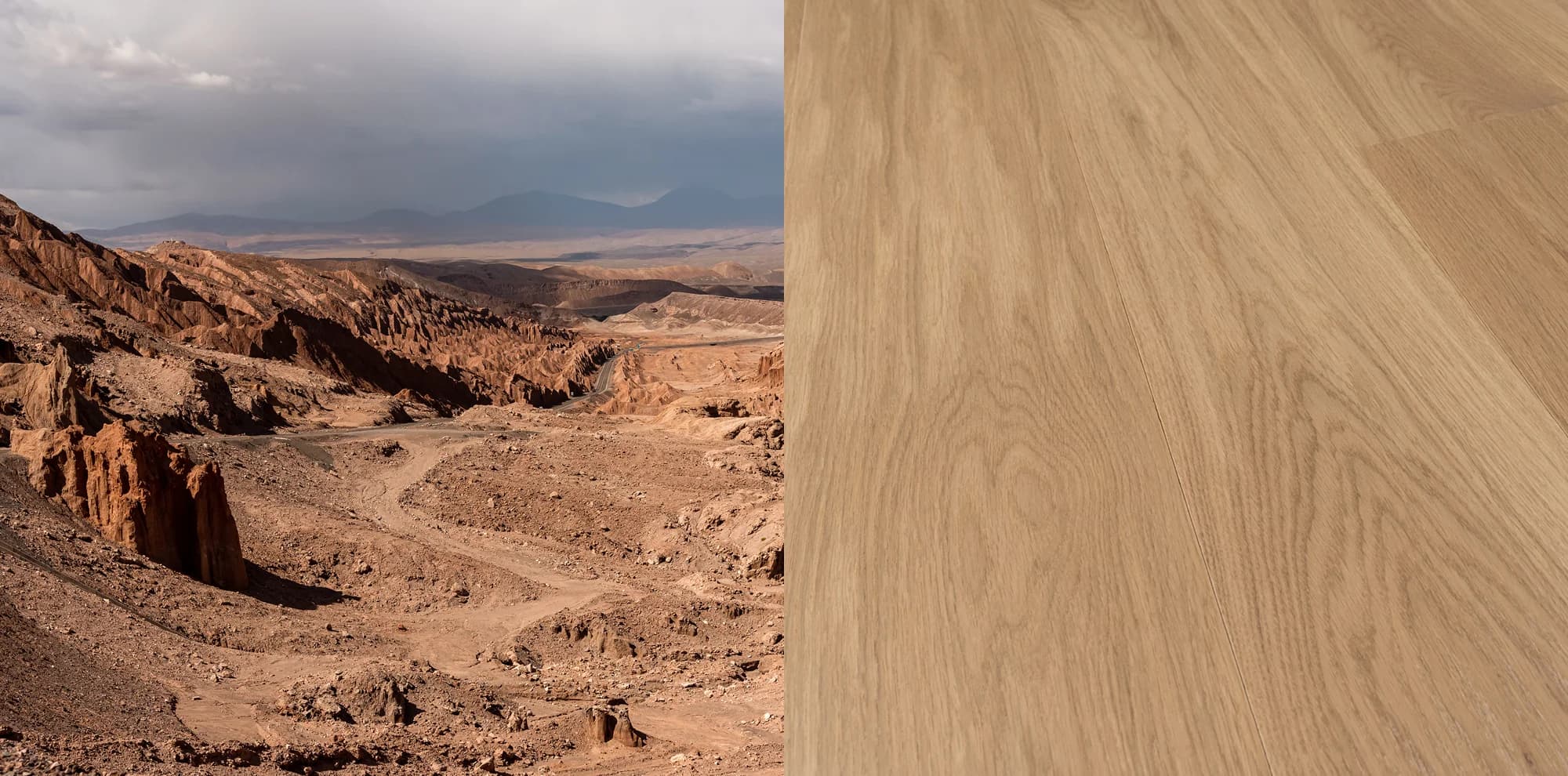 Атакама — фрагмент