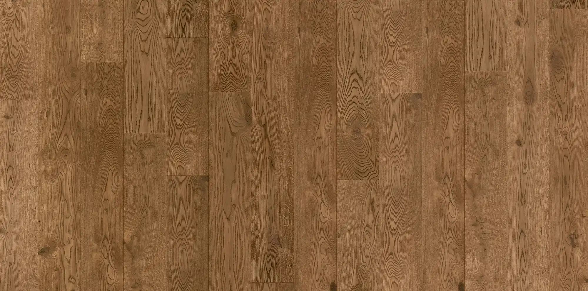 Кедр — фрагмент