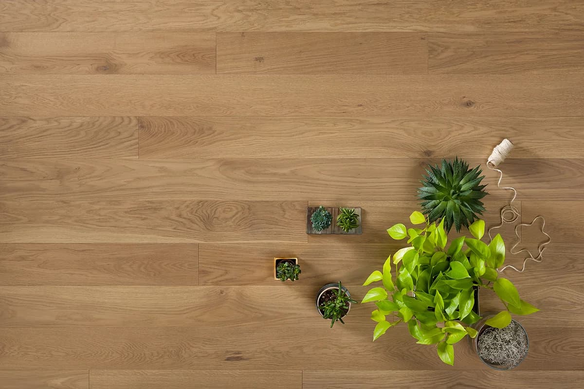 Сиена натуральная — фрагмент