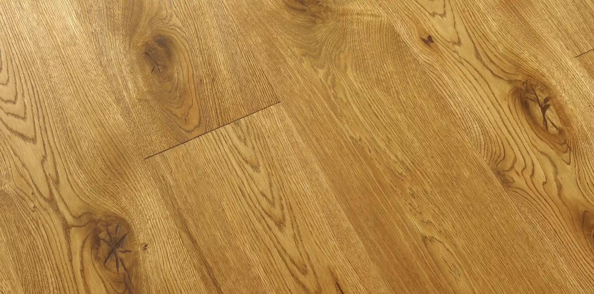 Вена — фрагмент